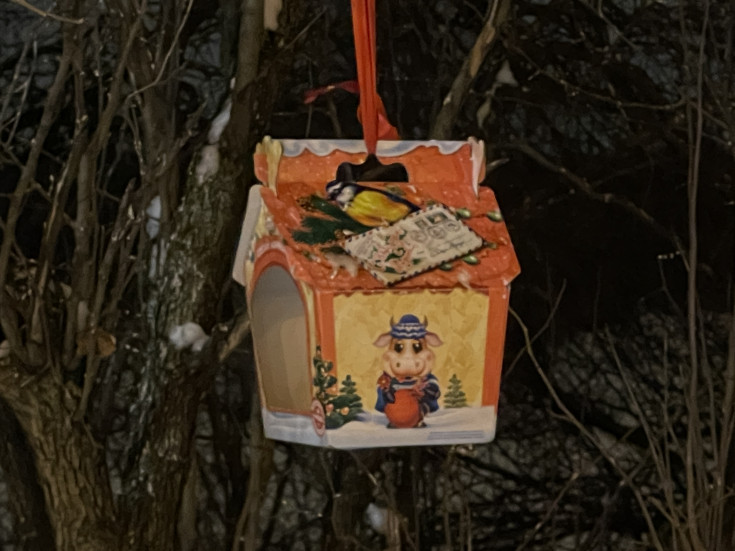 кормушка айфон